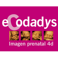 eCodadys 5D-4D se consolida como centro líder en la nueva 5D HD LIVE