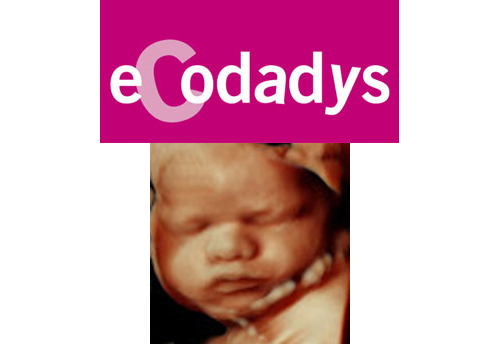 eCodadys presentó en exclusiva su nueva y exclusiva imagen 5D