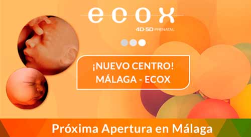 ECOX4D-5D Franquicias, franquicias rentables, franquicias baratas. Nuestro exclusivo plan de formación, “Ecox imparte la formación específica” permite obtener el título de Técnico en Ecografía Emocional.