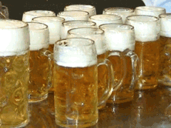 Franquicias de Cervecerías | Hostelería y Restauración
